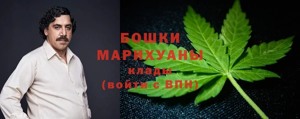 первитин Лабытнанги