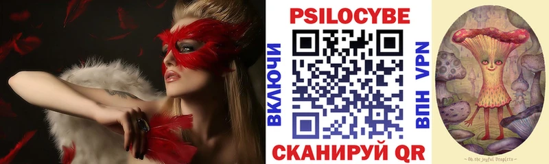 цена Малмыж Псилоцибиновые грибы Magic Shrooms